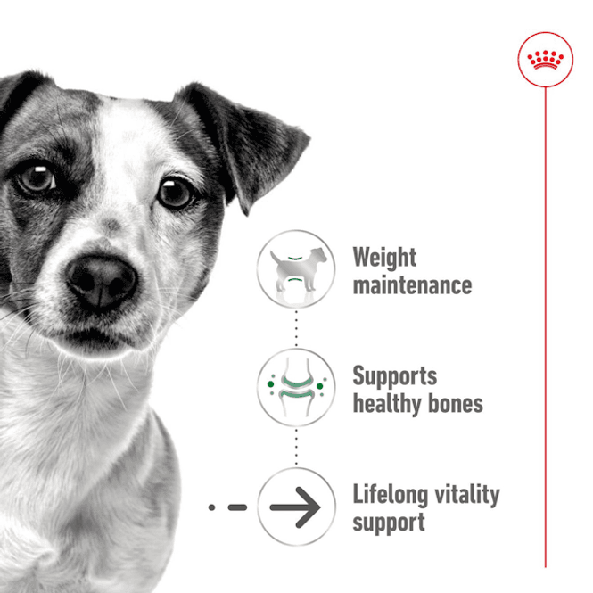 Hovedbilde Royal Canin Våtfor Mini Ageing 85g