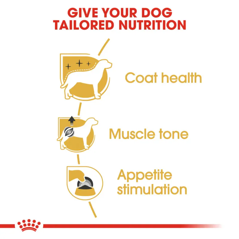 Royal Canin Våtfor Wet Poodle 85g