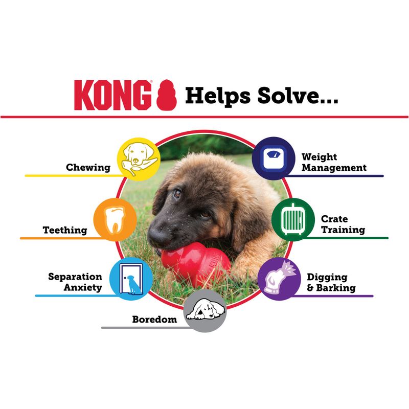 Hundeleke KONG Extreme