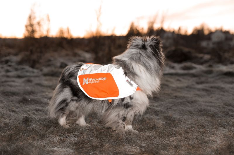 Non-stop dogwear Reflection blanket dekken