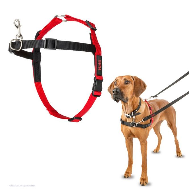 Hovedbilde Halti Harness Sort/Rød