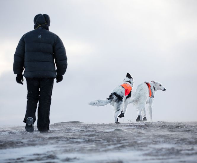 Hovedbilde Non-stop dogwear Solid socks