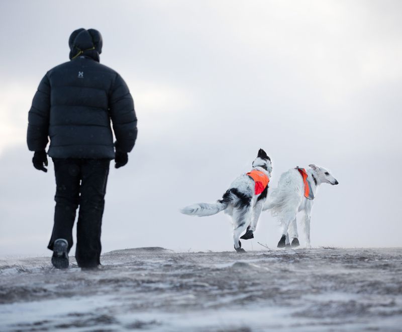 Non-stop dogwear Solid socks