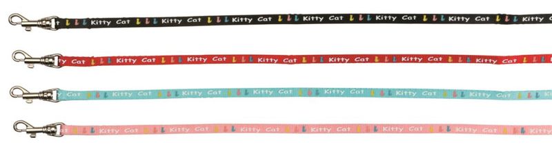 Kattesele Kitten Kitty Cat