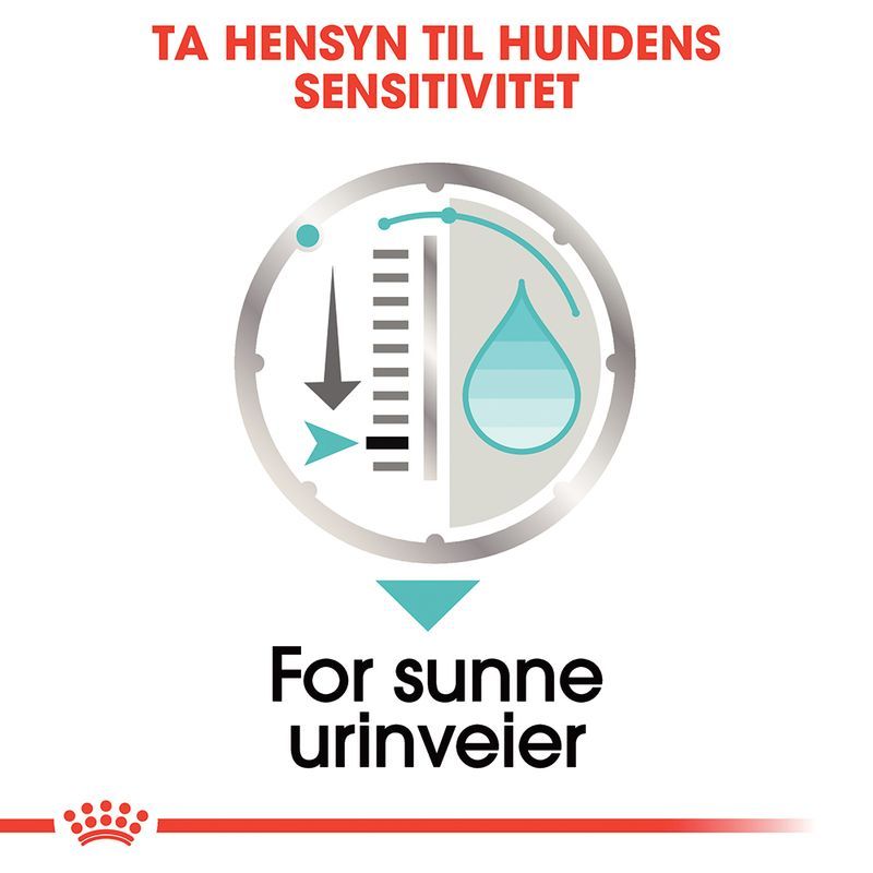 Royal Canin Våtfor Urinary Care wet 85g