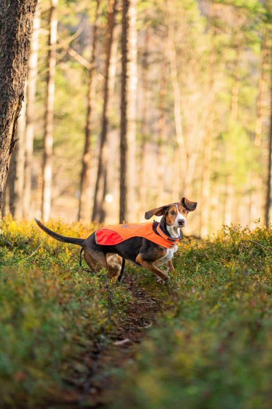 Non-stop dogwear Protector cover 2.0