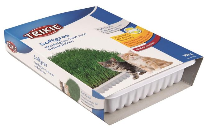 Hovedbilde Kattegress Biologisk 100g