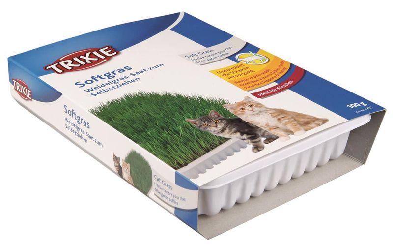 Kattegress Biologisk 100g