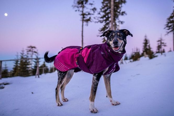 Hovedbilde Non-stop dogwear Glacier jacket 2.0 dekken