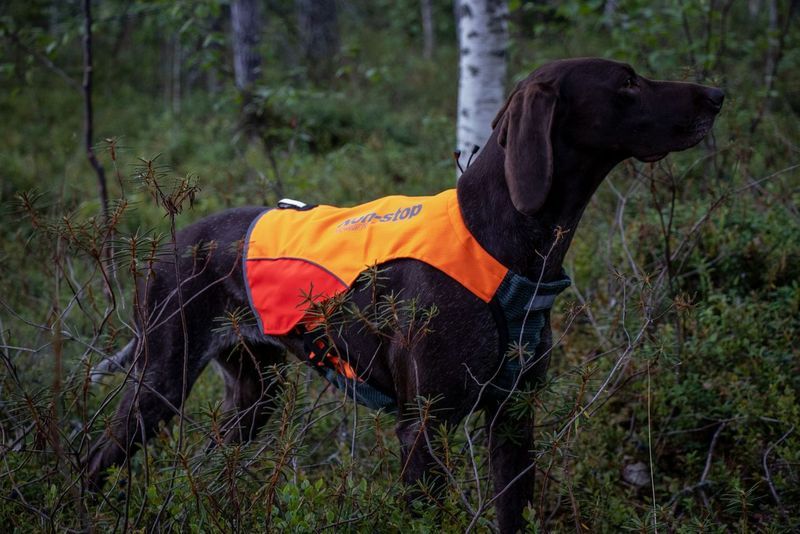 Non-stop dogwear Protector vest dekken