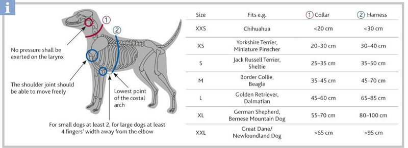 Hundesele Step-in Premium XS/S