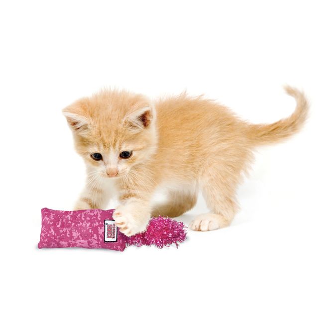 Hovedbilde Katteleke KONG Kickeroo Kitten