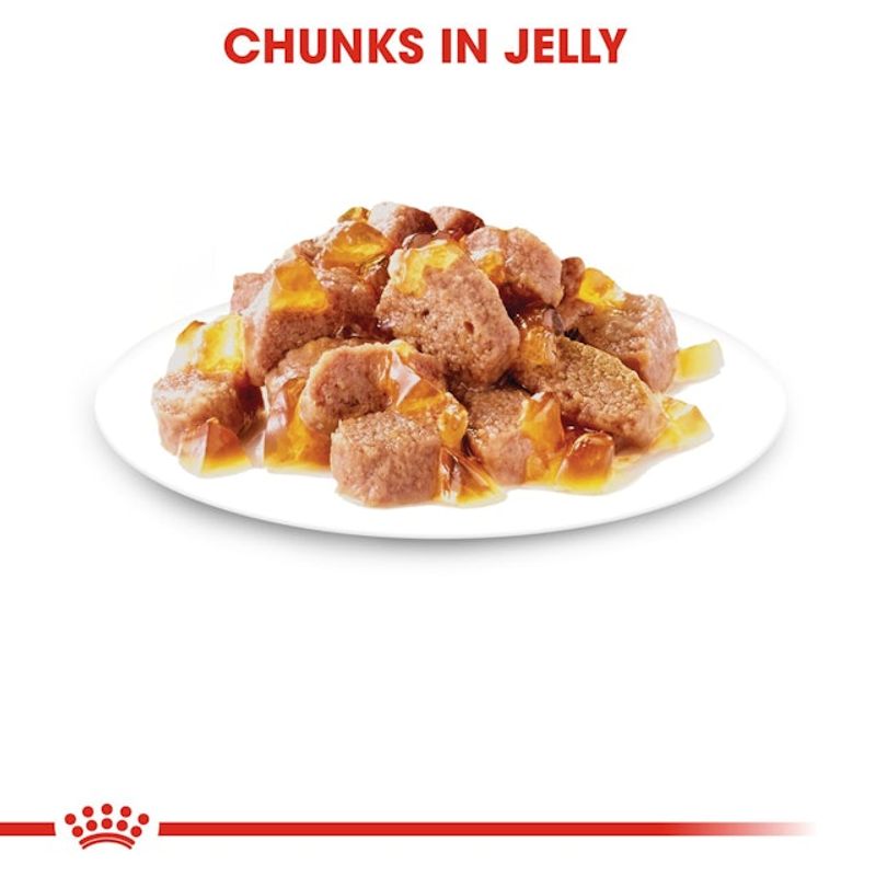 Royal Canin Våtfor Instinctive Jelly 85g