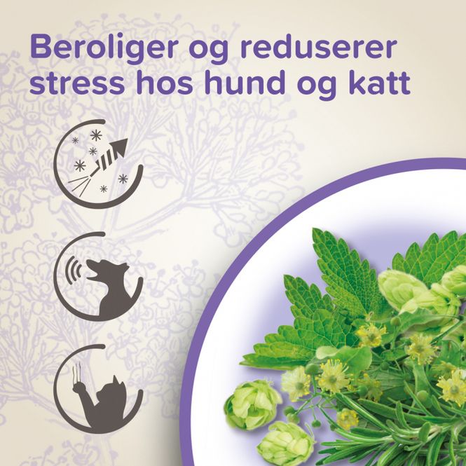 Hovedbilde Beaphar Calming tabletter