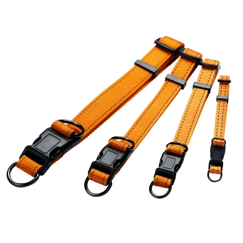 Iris Hundhalsband S