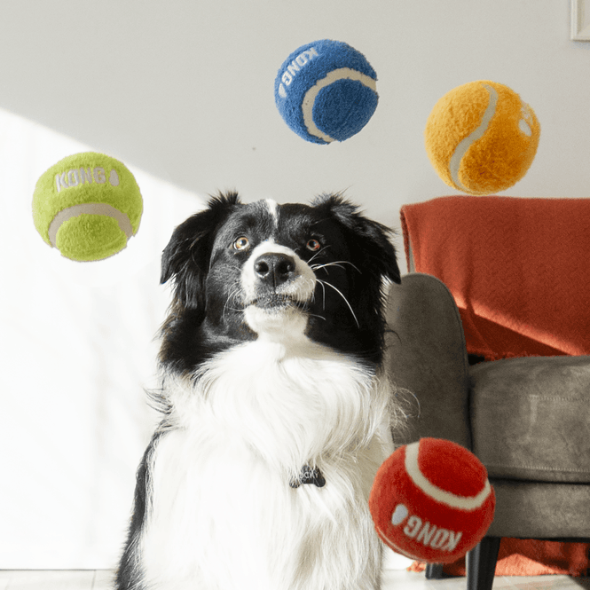 Hovedbilde Hundeleke KONG Sport Softies Balls 3pk M