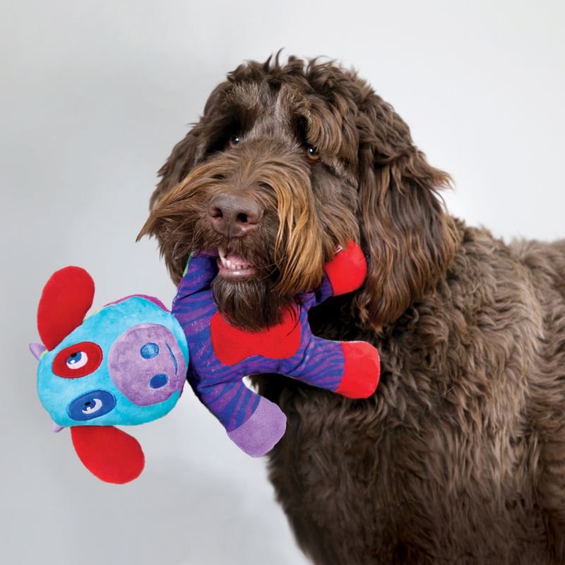 Hundeleke KONG Switcheroos L