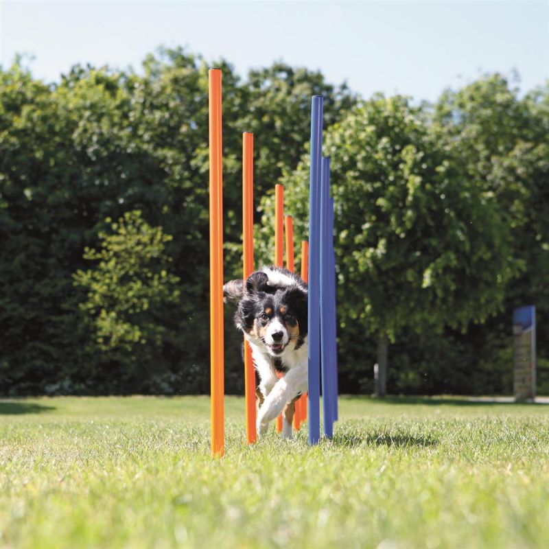 Agility Slalåm Hinder12stk