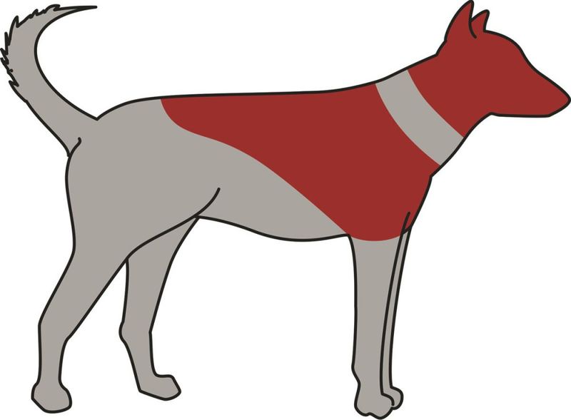 Sårkrage Oppblåsbar Blå XXS-XL