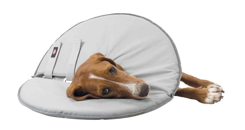 Sårkrage Polyester/Skum XS-Xl Grå