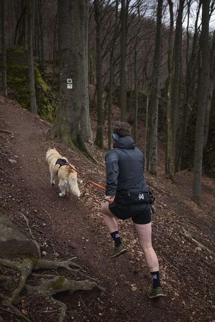 Hovedbilde Non-stop dogwear Trail light belt one size