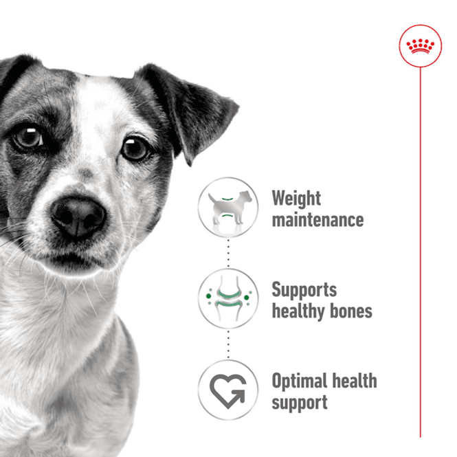 Hovedbilde Royal Canin Våtfor Mini Adult 85g