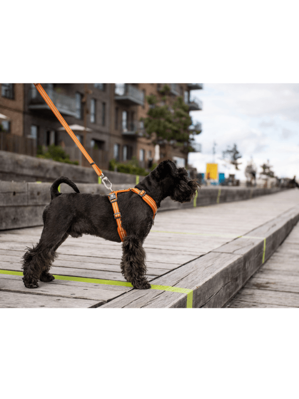 DOG Copenhagen Urban Freestyle Line