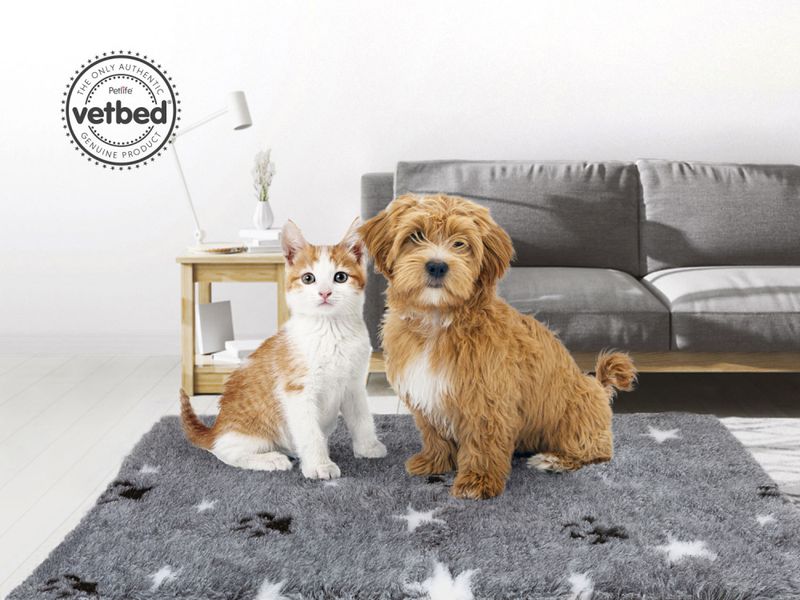 VetBed Nonslip Grå Stars and Paws 100x75cm
