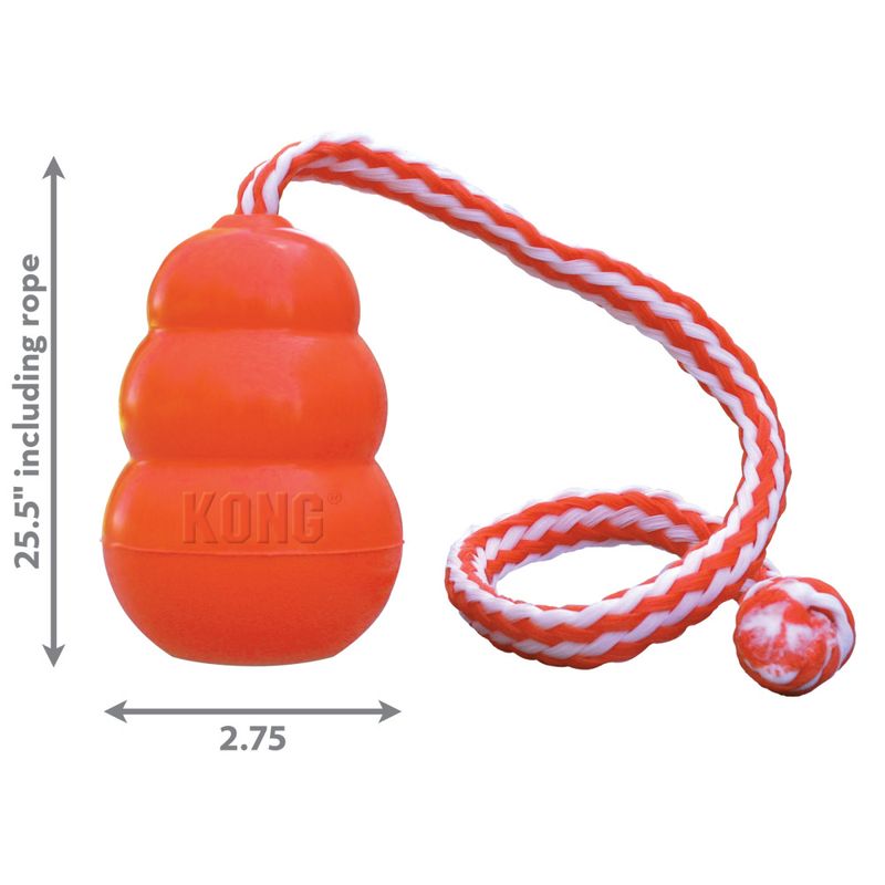 Hundeleke KONG Aqua Flyteleke