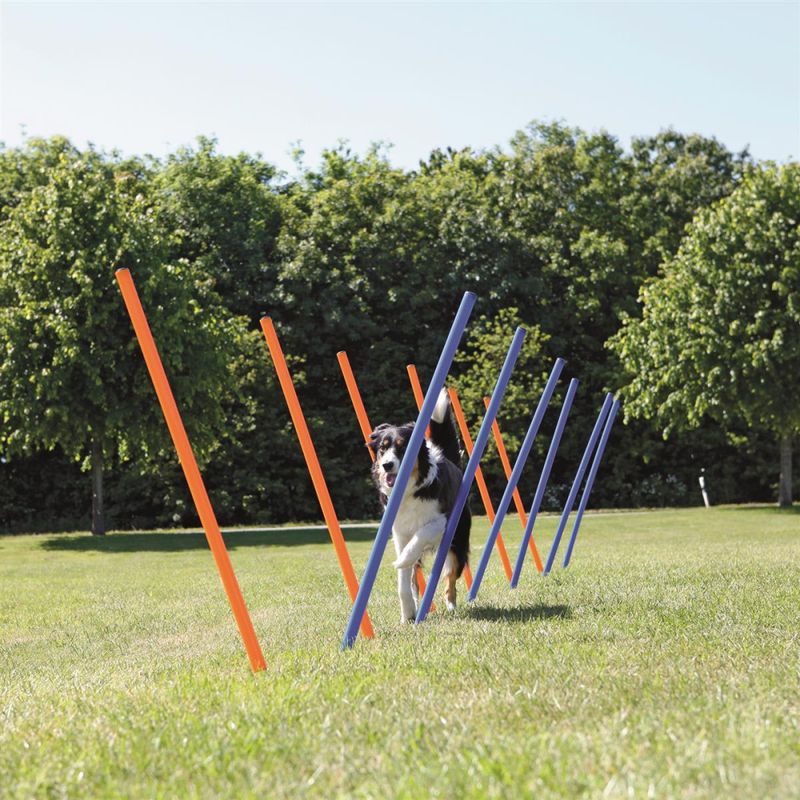Agility Slalåm Hinder12stk