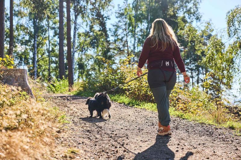 Non-stop dogwear Trekking belt 2.0