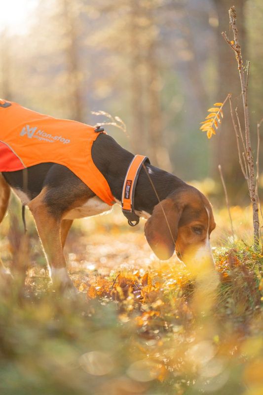 Non-stop dogwear Protector cover 2.0