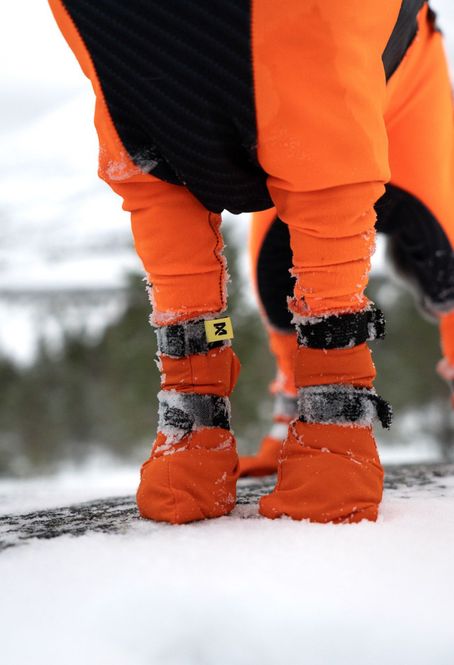 Hovedbilde Non-stop dogwear Contact bootie high potesokk